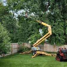 How Our Tree Care Process Works  in  Pittsboro, IN